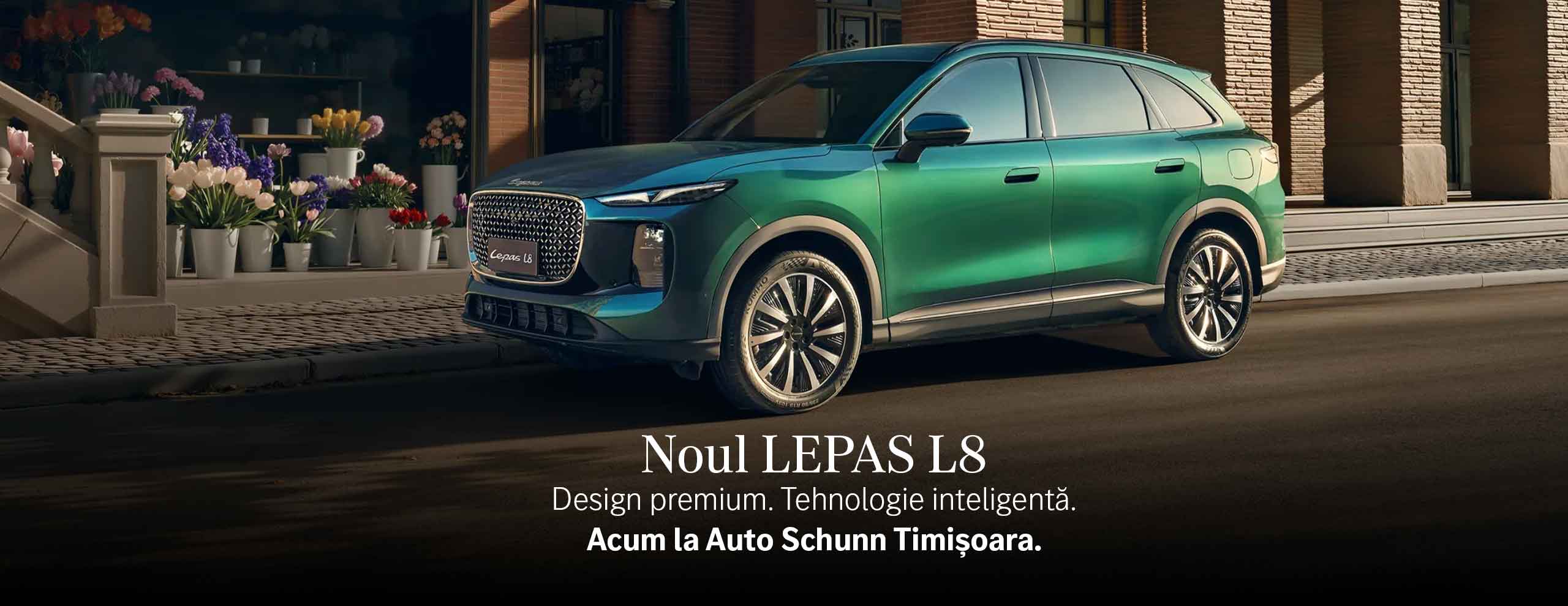 autoschunn timisoara lepas autoturisme